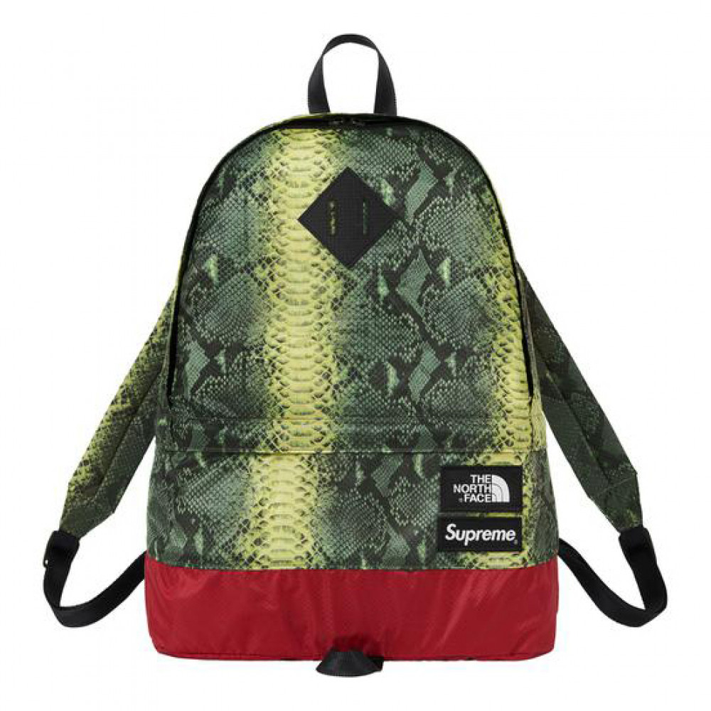 Supreme x TNF Snakeskin Backpack  (Green)