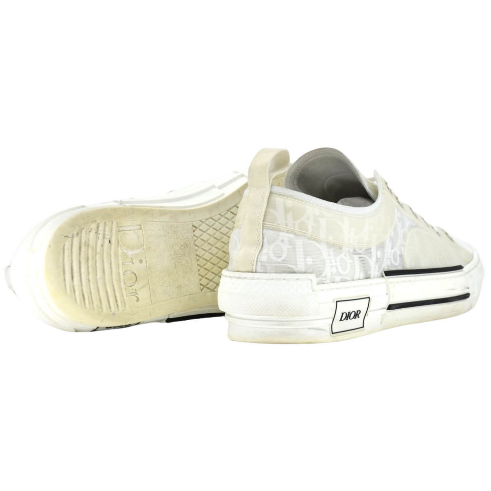 Dior B23 Low Top Sneakers (White)