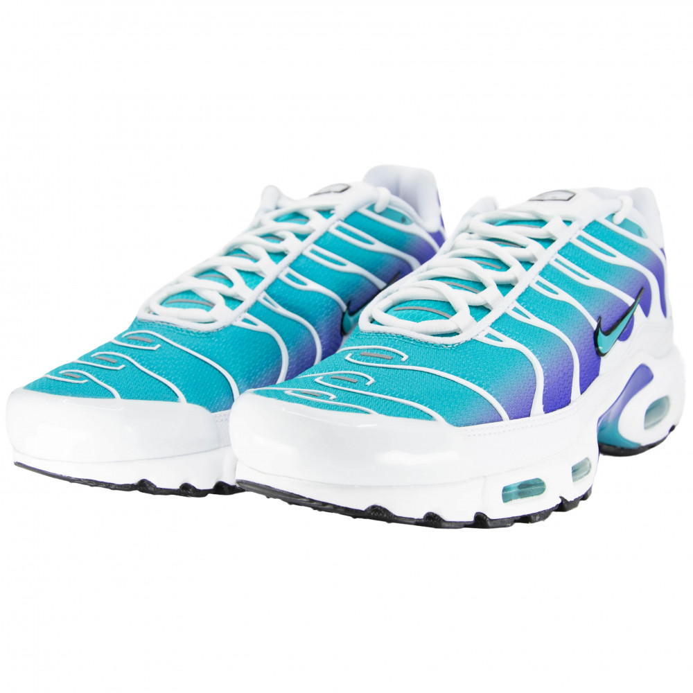 Nike Air Max Plus (Aqua)